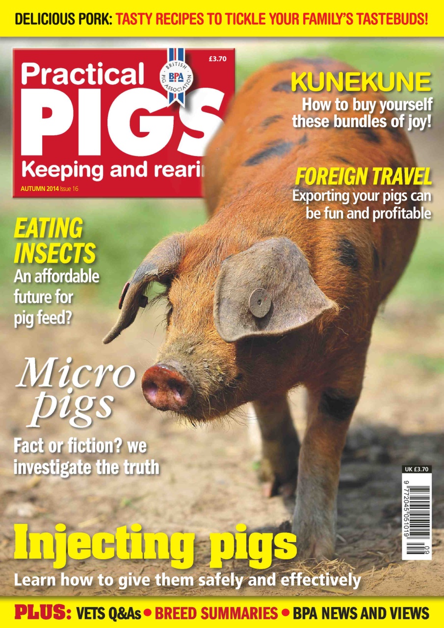 Practical Pigs Preview Pages