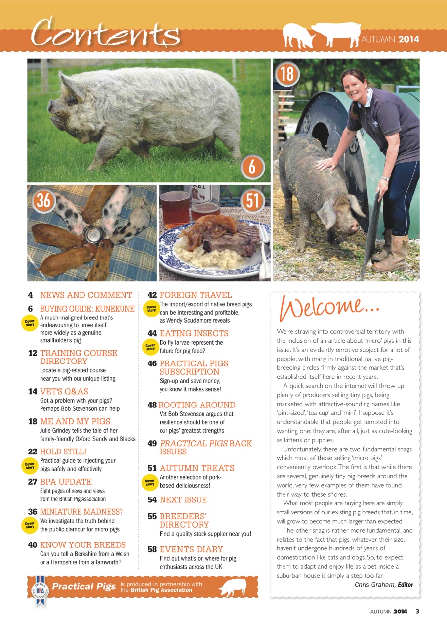 Practical Pigs Preview Pages