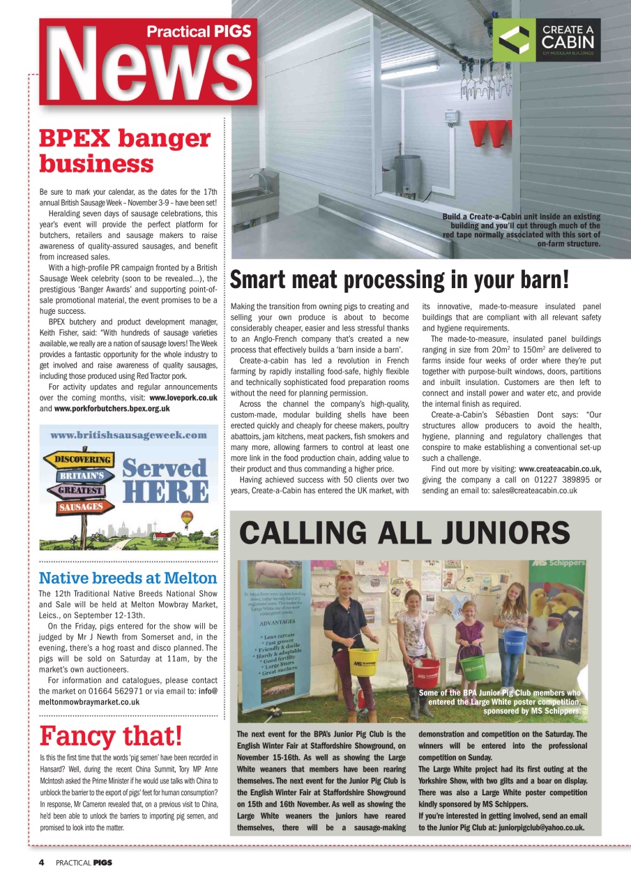 Practical Pigs Preview Pages