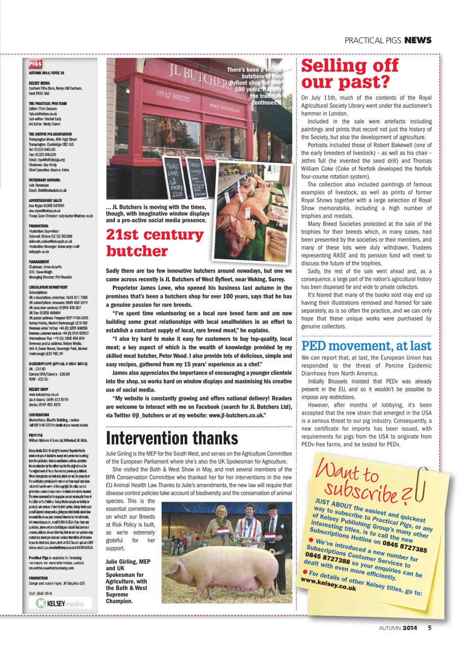 Practical Pigs Preview Pages