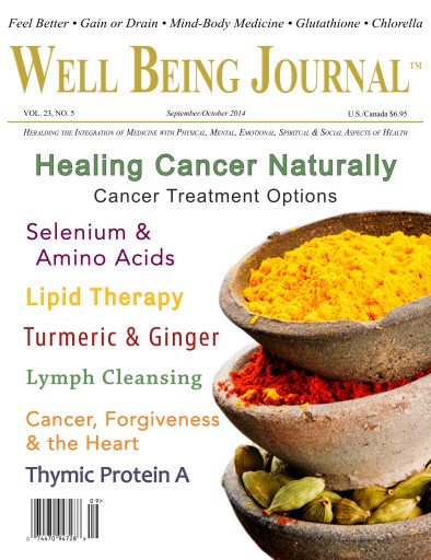 Well Being Journal issue 