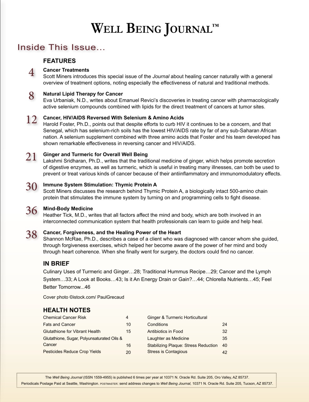 Well Being Journal Preview Pages