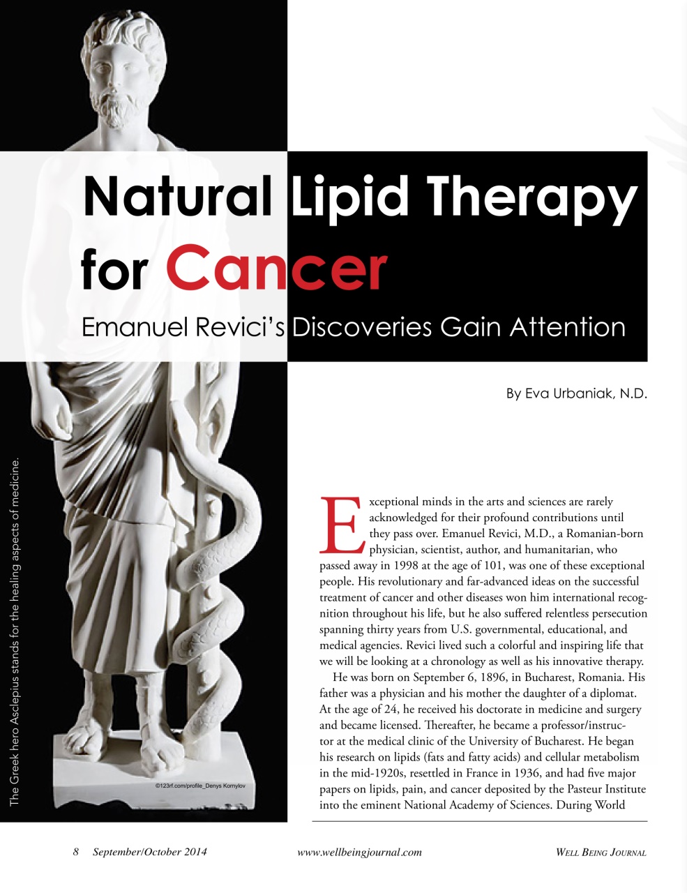 Well Being Journal Preview Pages