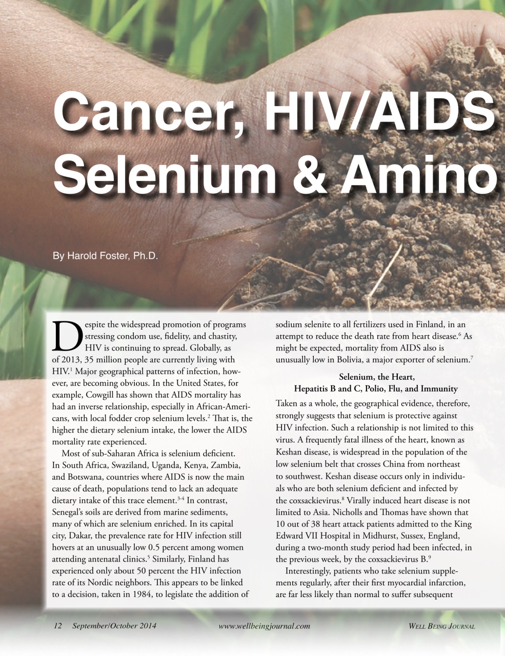 Well Being Journal Preview Pages