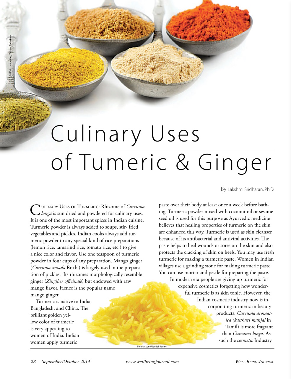 Well Being Journal Preview Pages