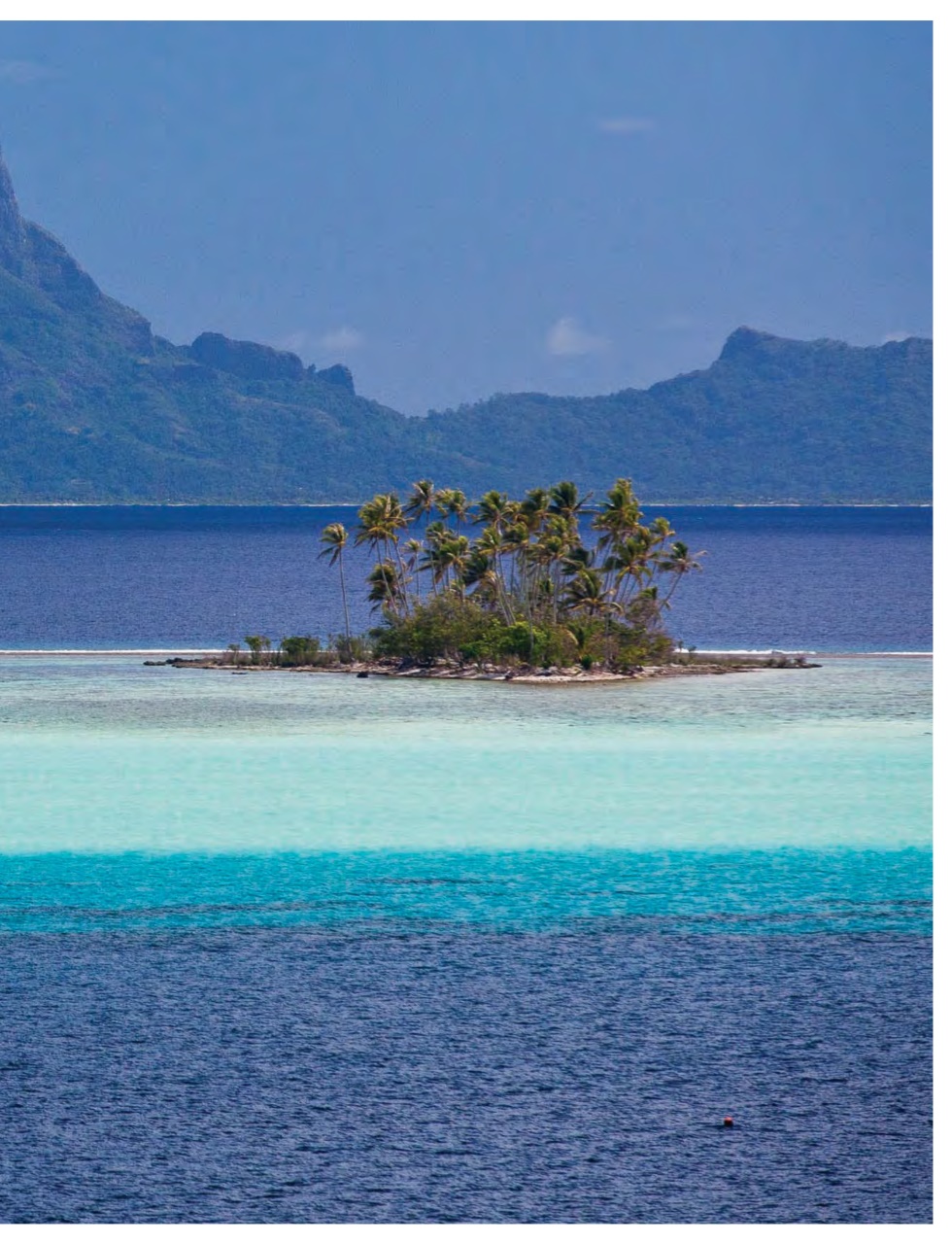 Sailing Today Preview Pages