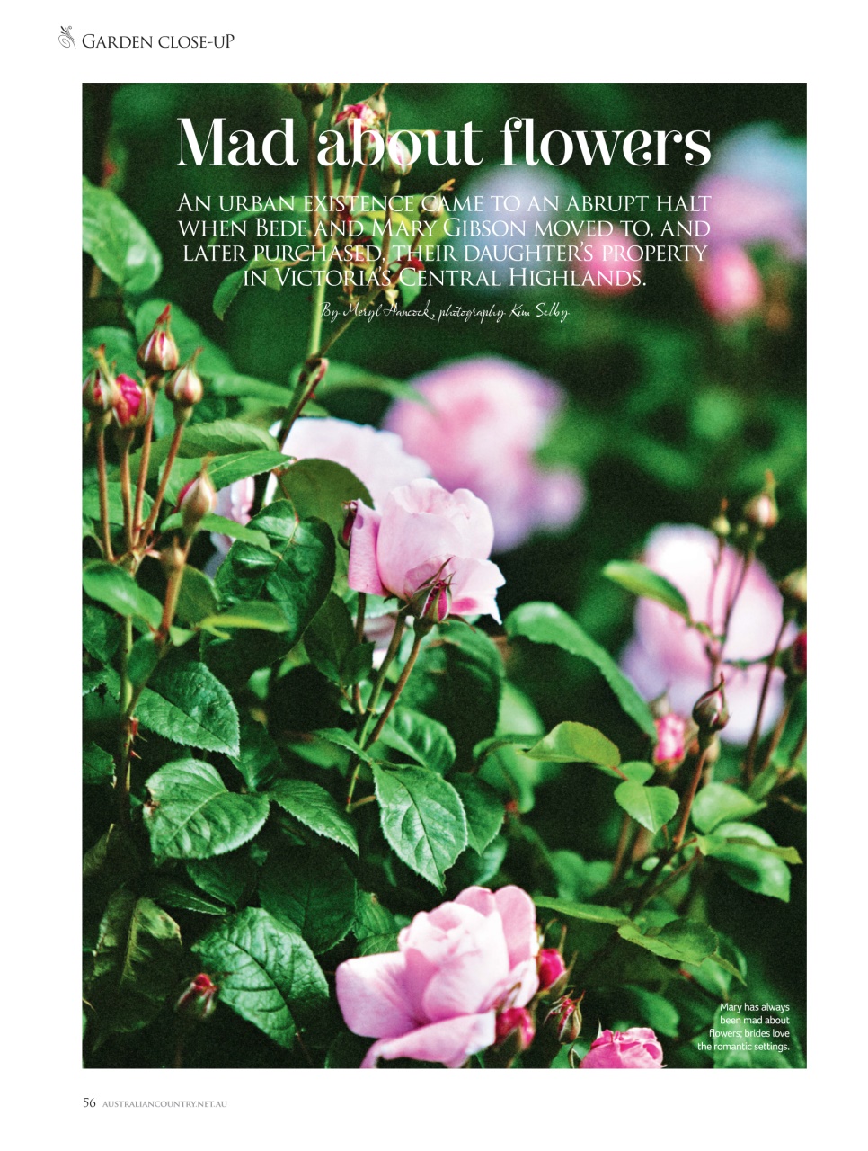 Australian Country Preview Pages