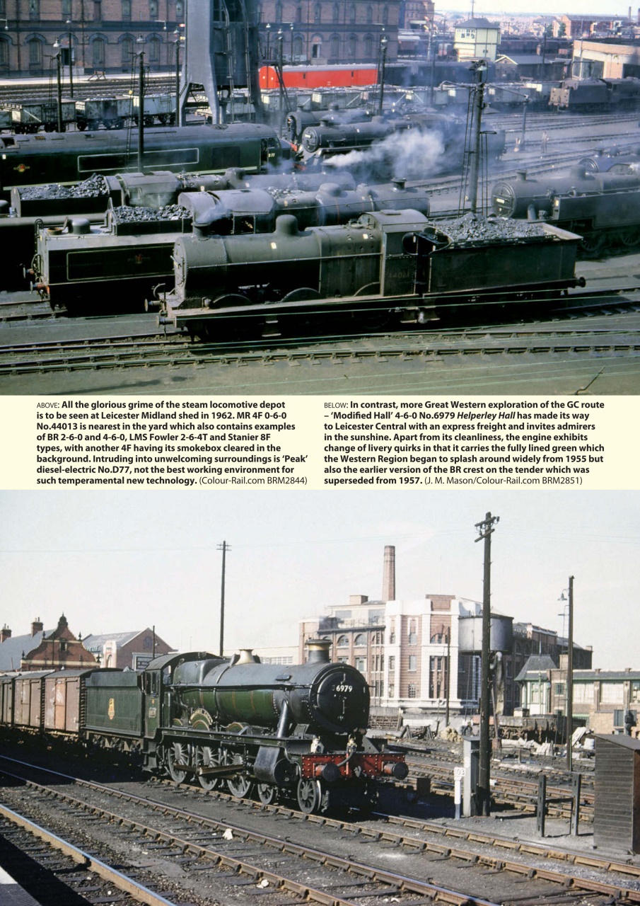 Backtrack Preview Pages