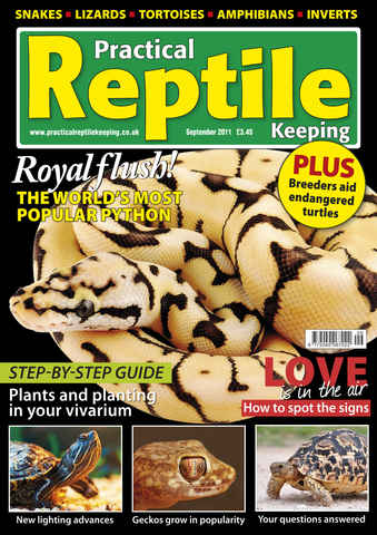 Practical Reptile Keeping issue No.28 Popular Python