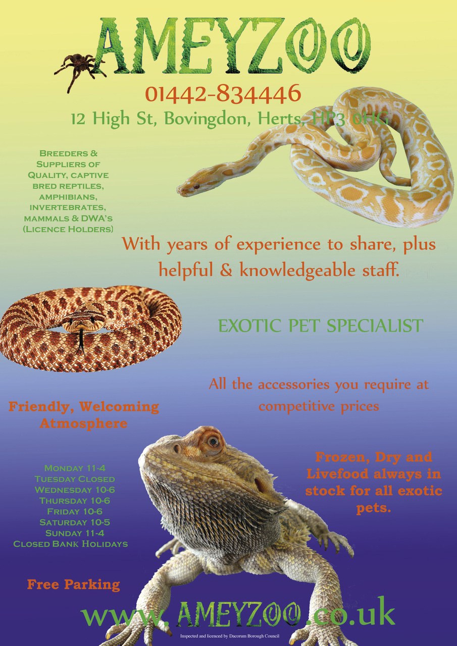 Practical Reptile Keeping Preview Pages