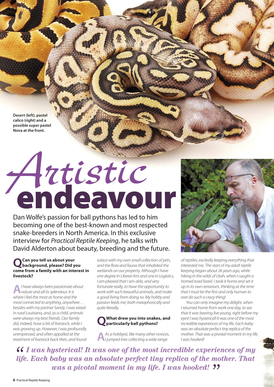 Practical Reptile Keeping Preview Pages