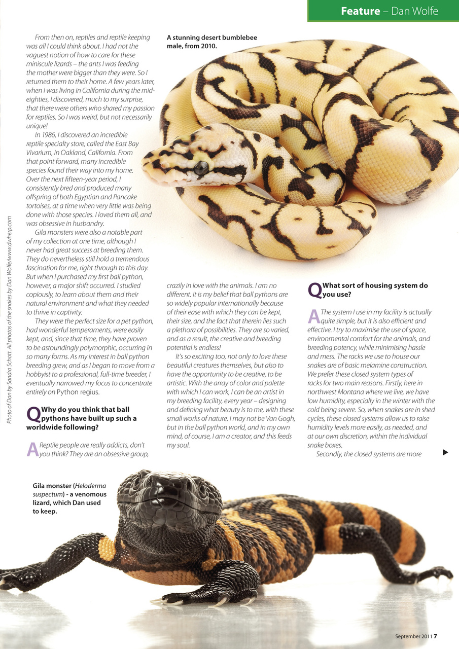 Practical Reptile Keeping Preview Pages