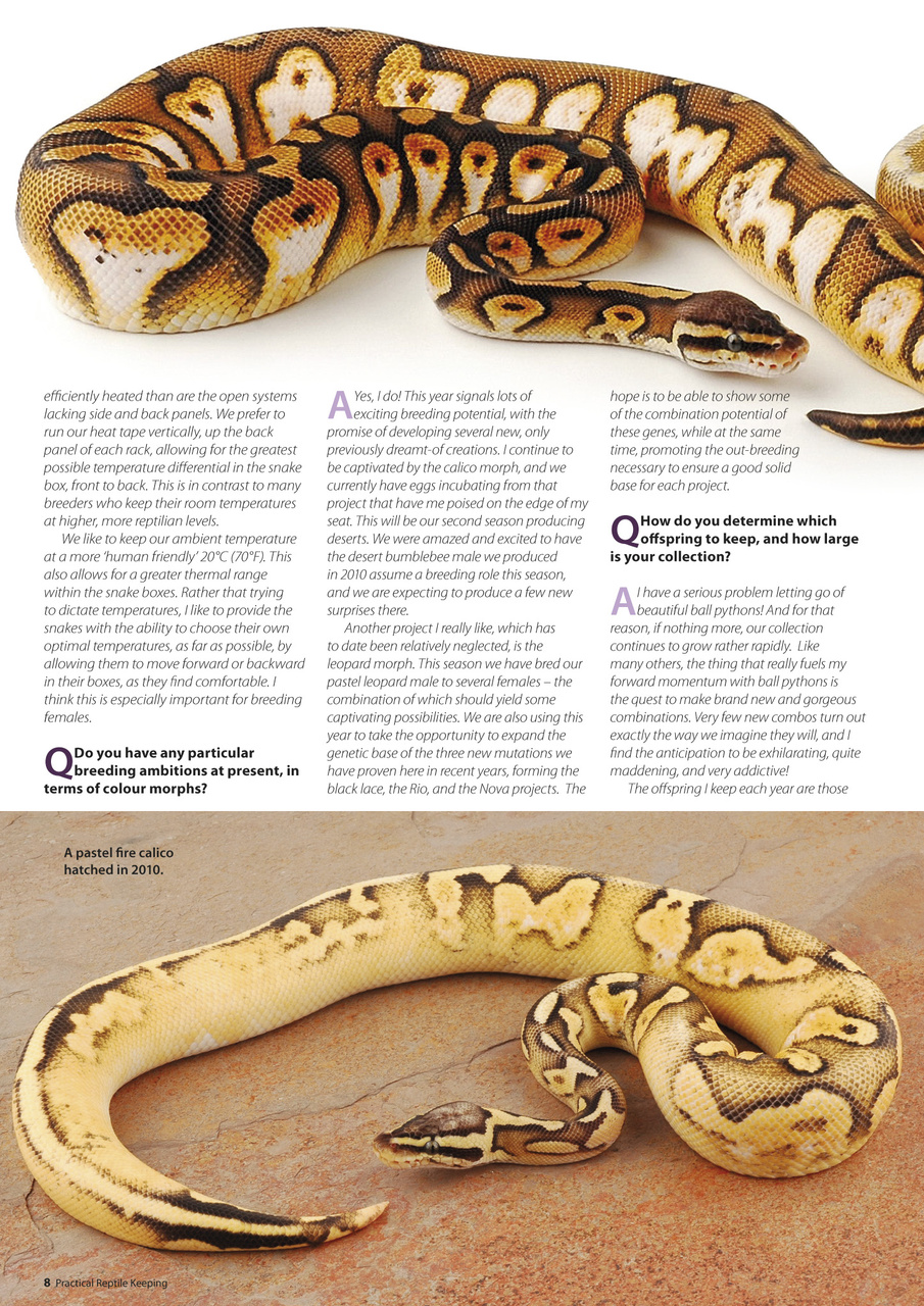 Practical Reptile Keeping Preview Pages