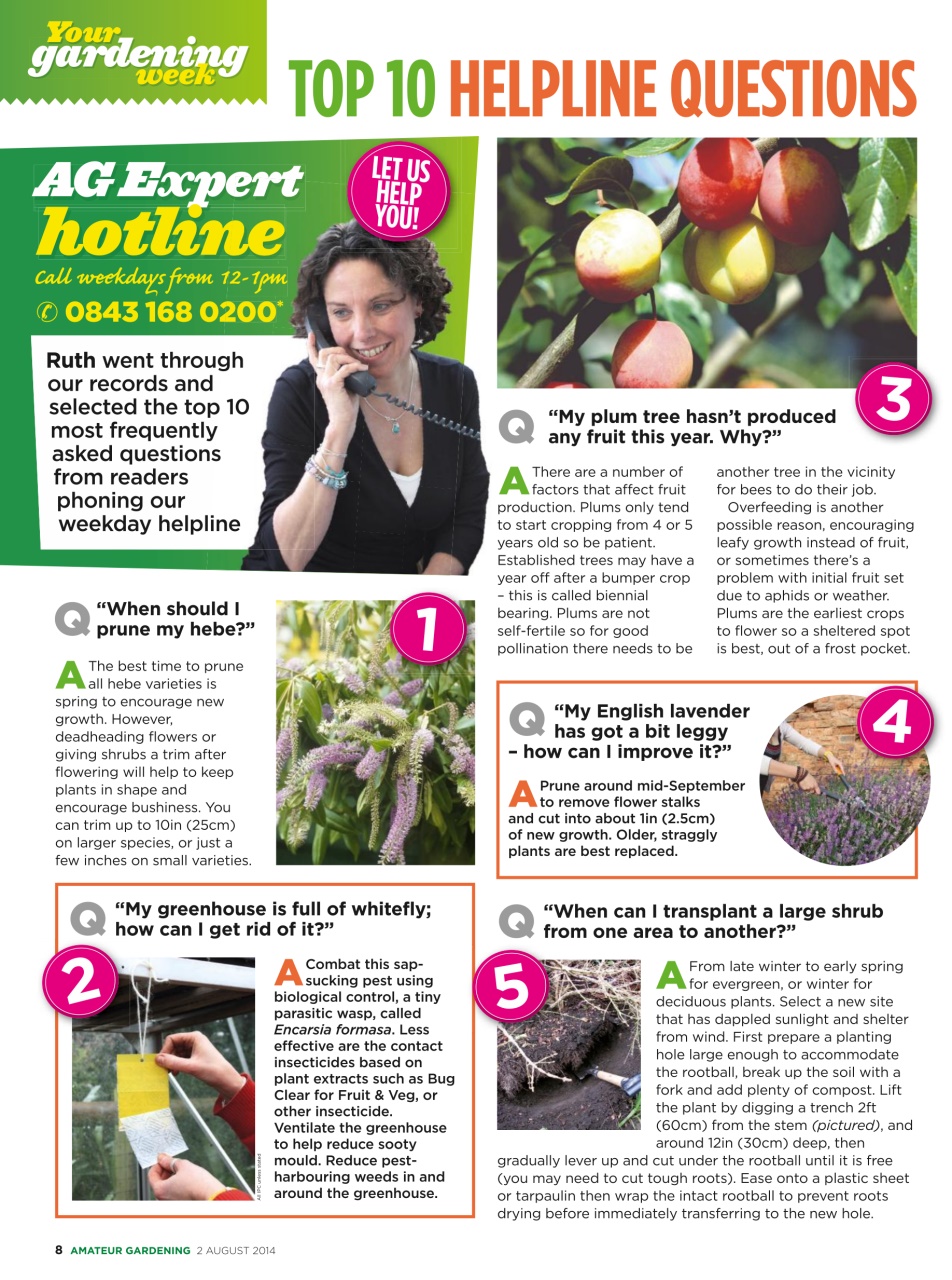 Amateur Gardening Preview Pages