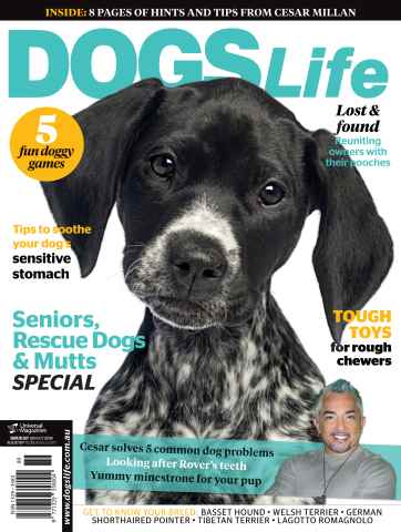Dogs Life issue Issue#127 Sep/Oct 14