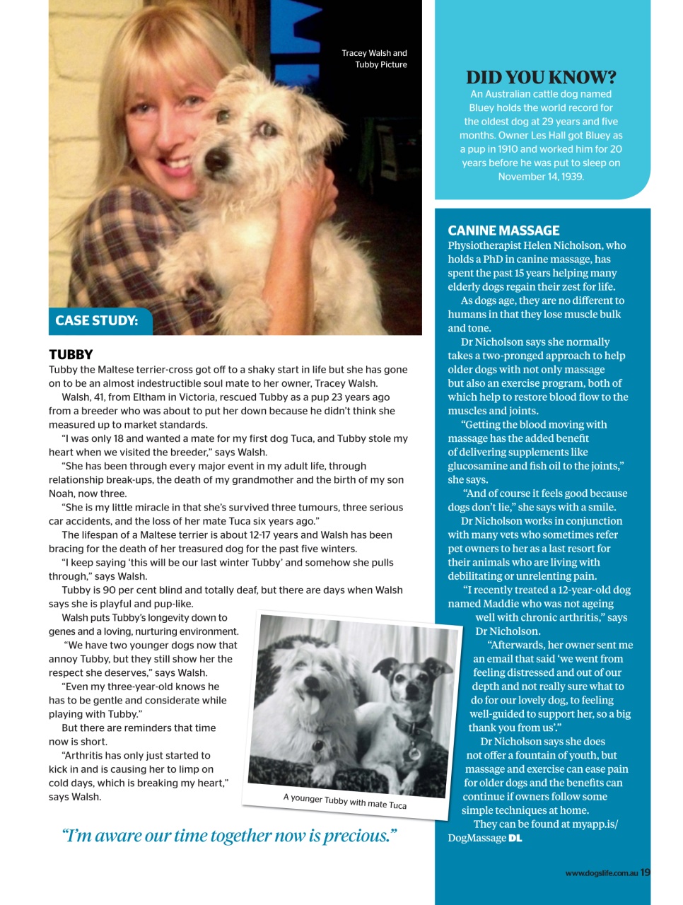 Dogs Life Preview Pages