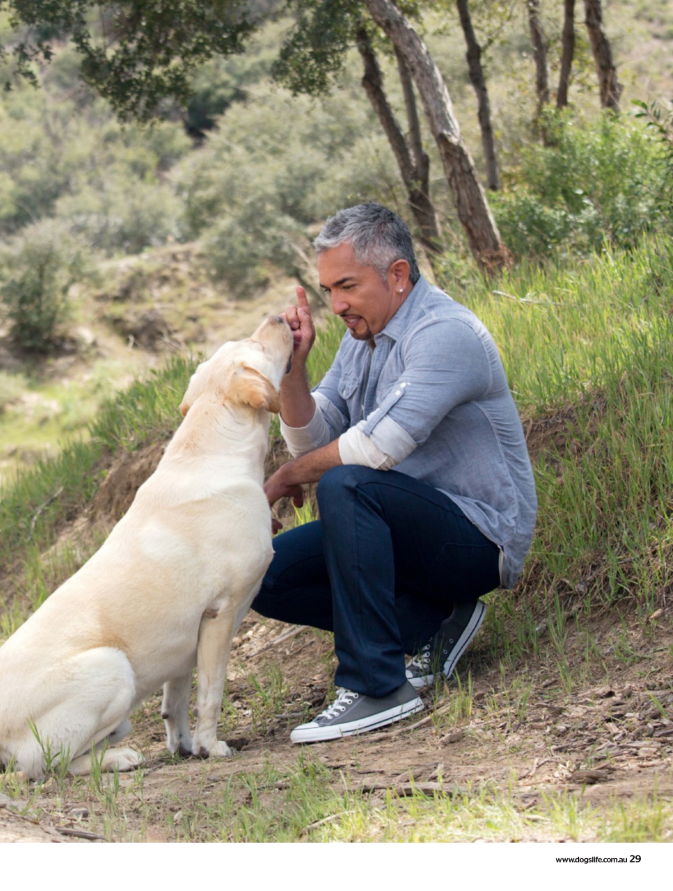 Dogs Life Preview Pages