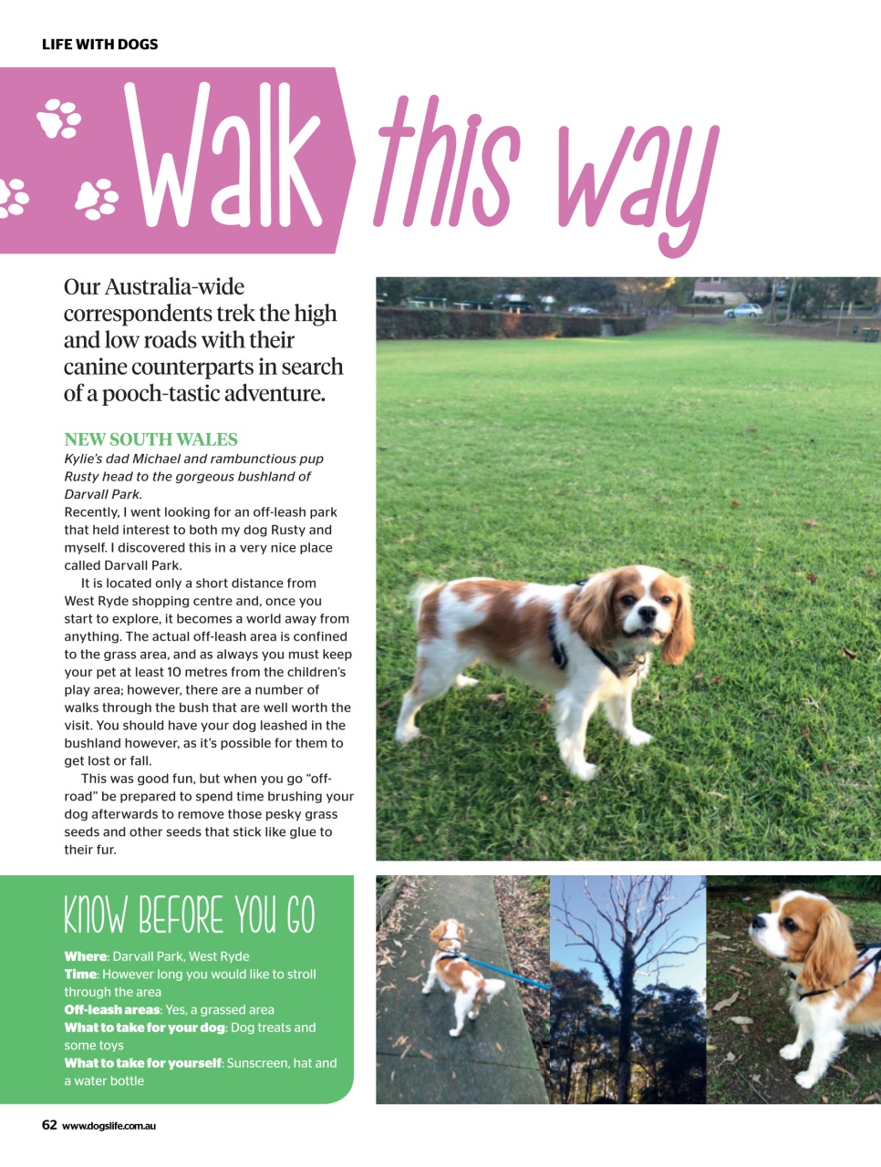 Dogs Life Preview Pages