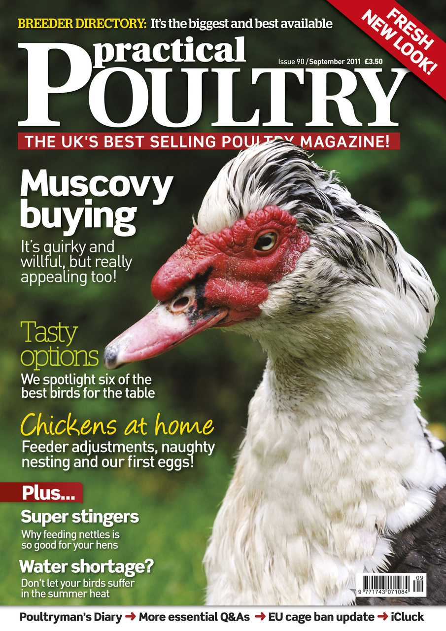 Practical Poultry Preview Pages