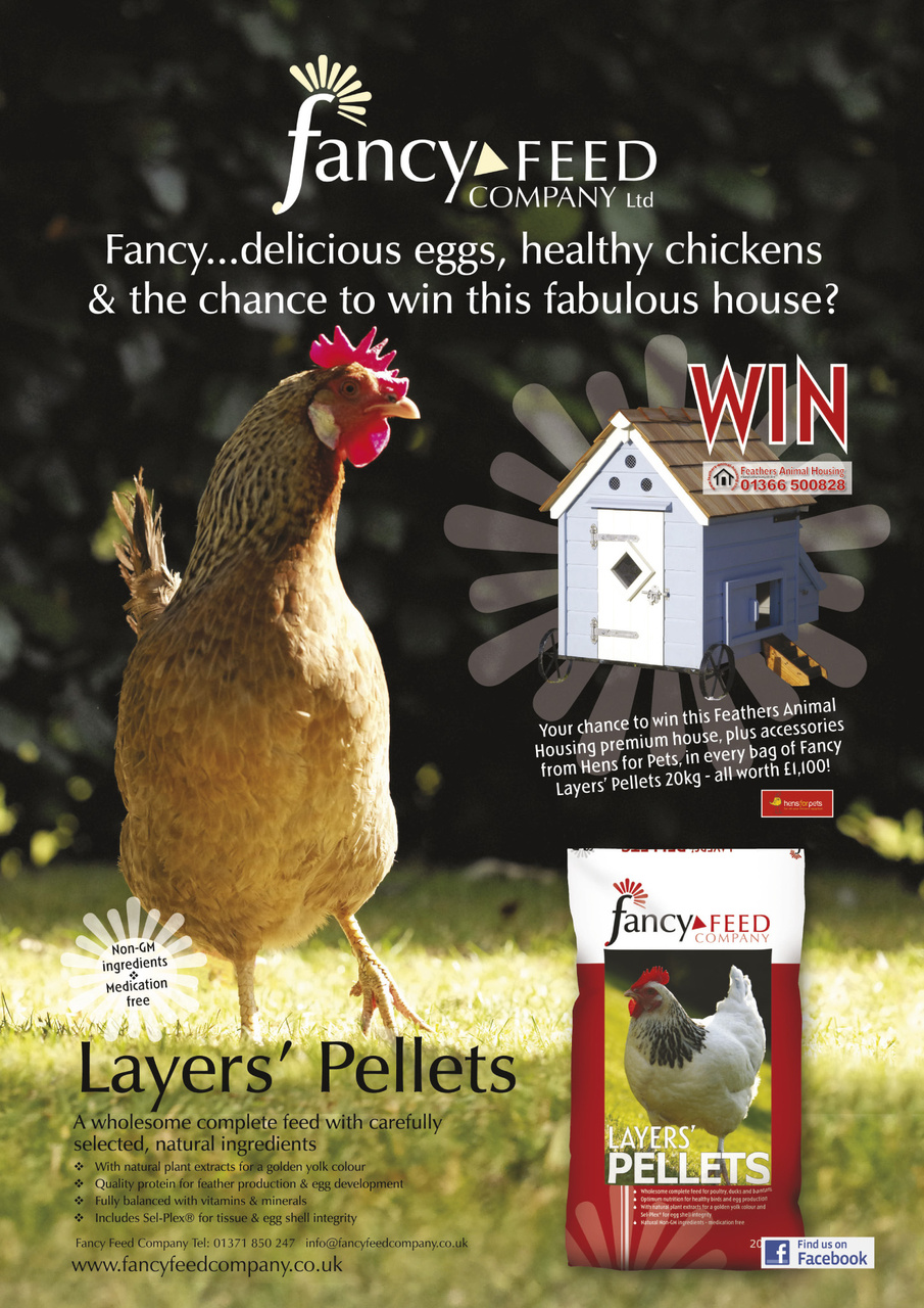 Practical Poultry Preview Pages