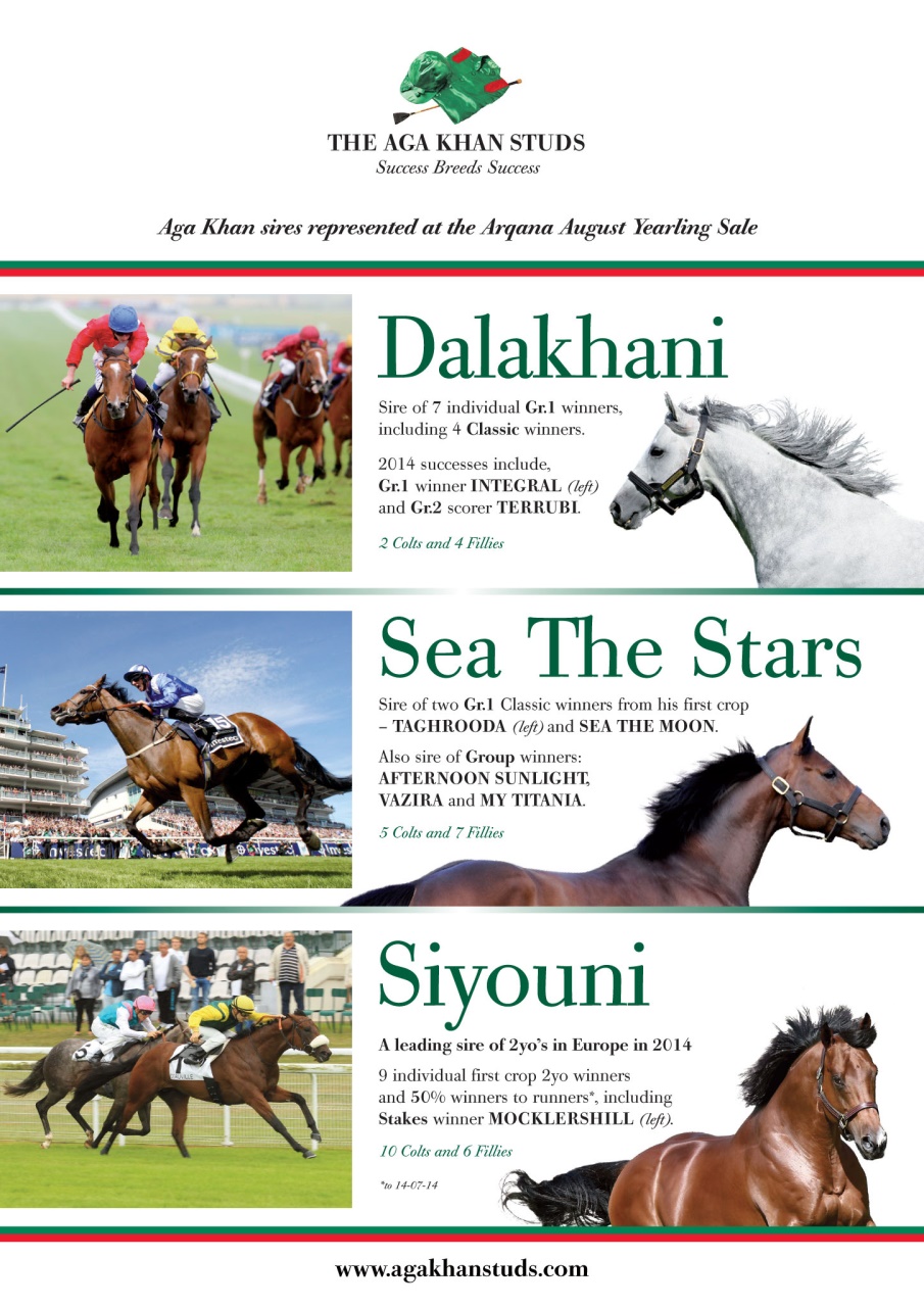 The Owner Breeder Preview Pages