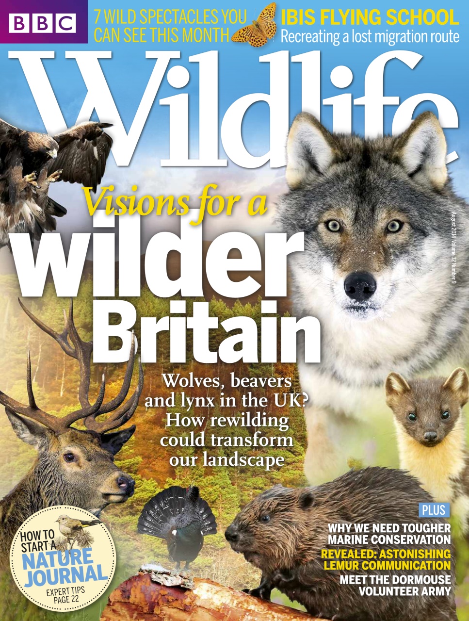 BBC Wildlife Magazine Preview Pages
