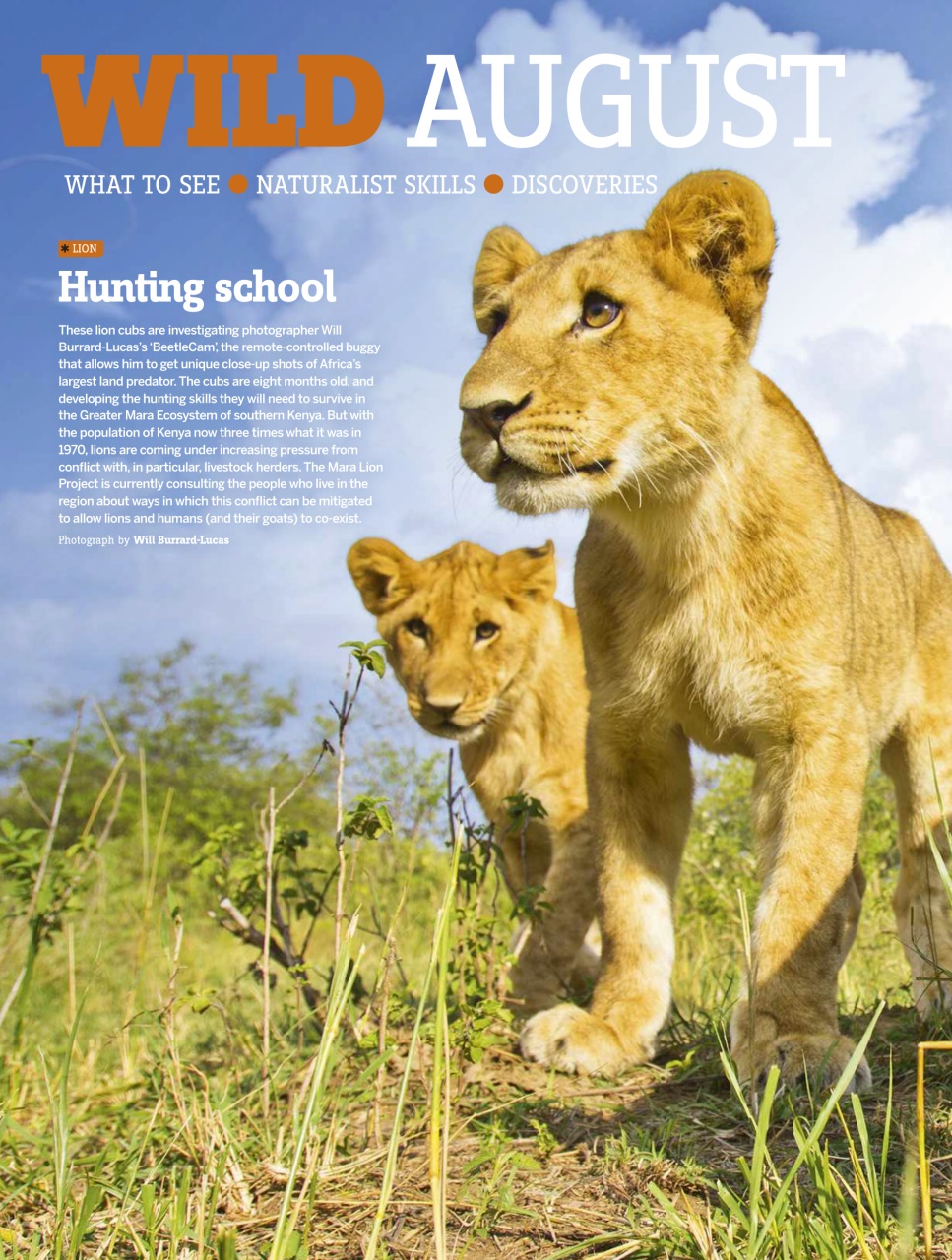 BBC Wildlife Magazine Preview Pages