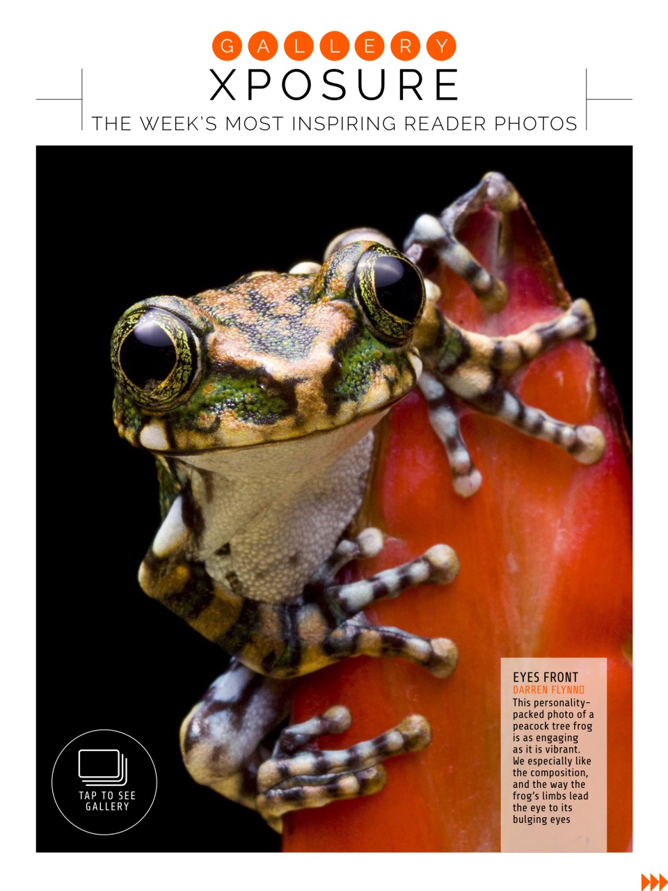 Photography Week Preview Pages