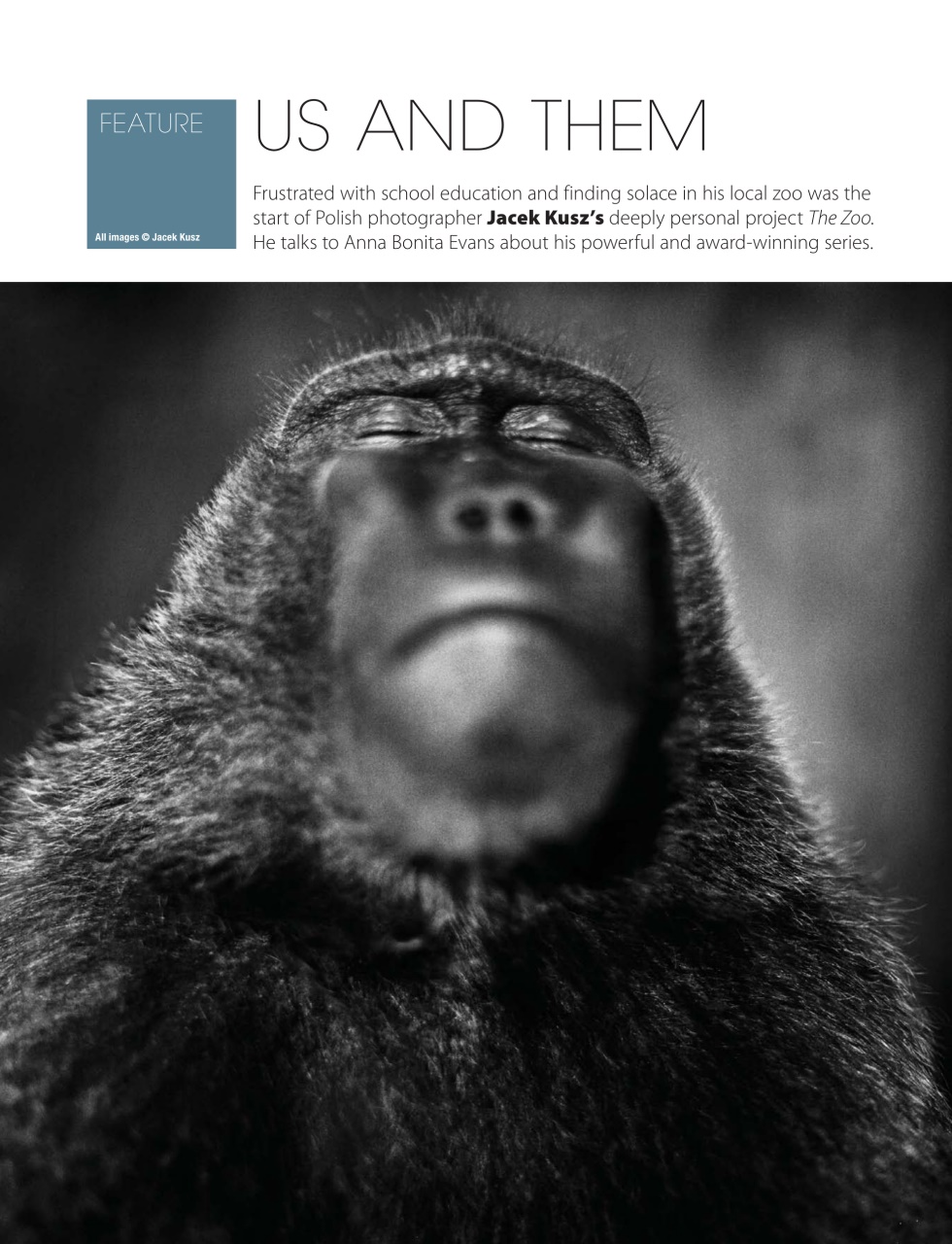 Black+White Photography Preview Pages