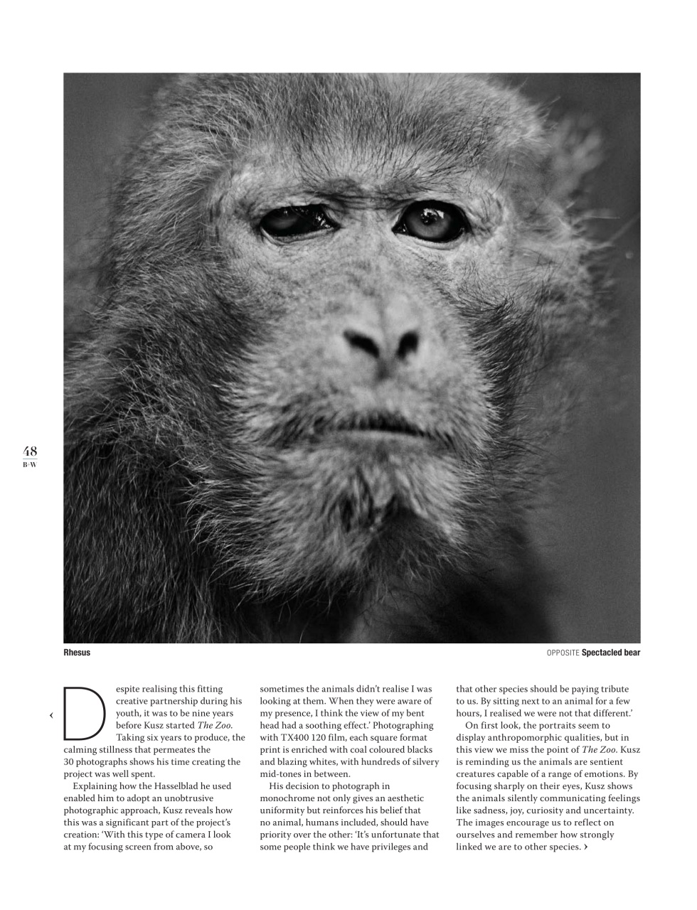 Black+White Photography Preview Pages