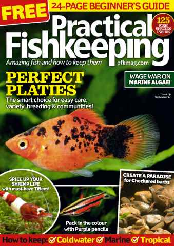Practical Fishkeeping issue September 2014