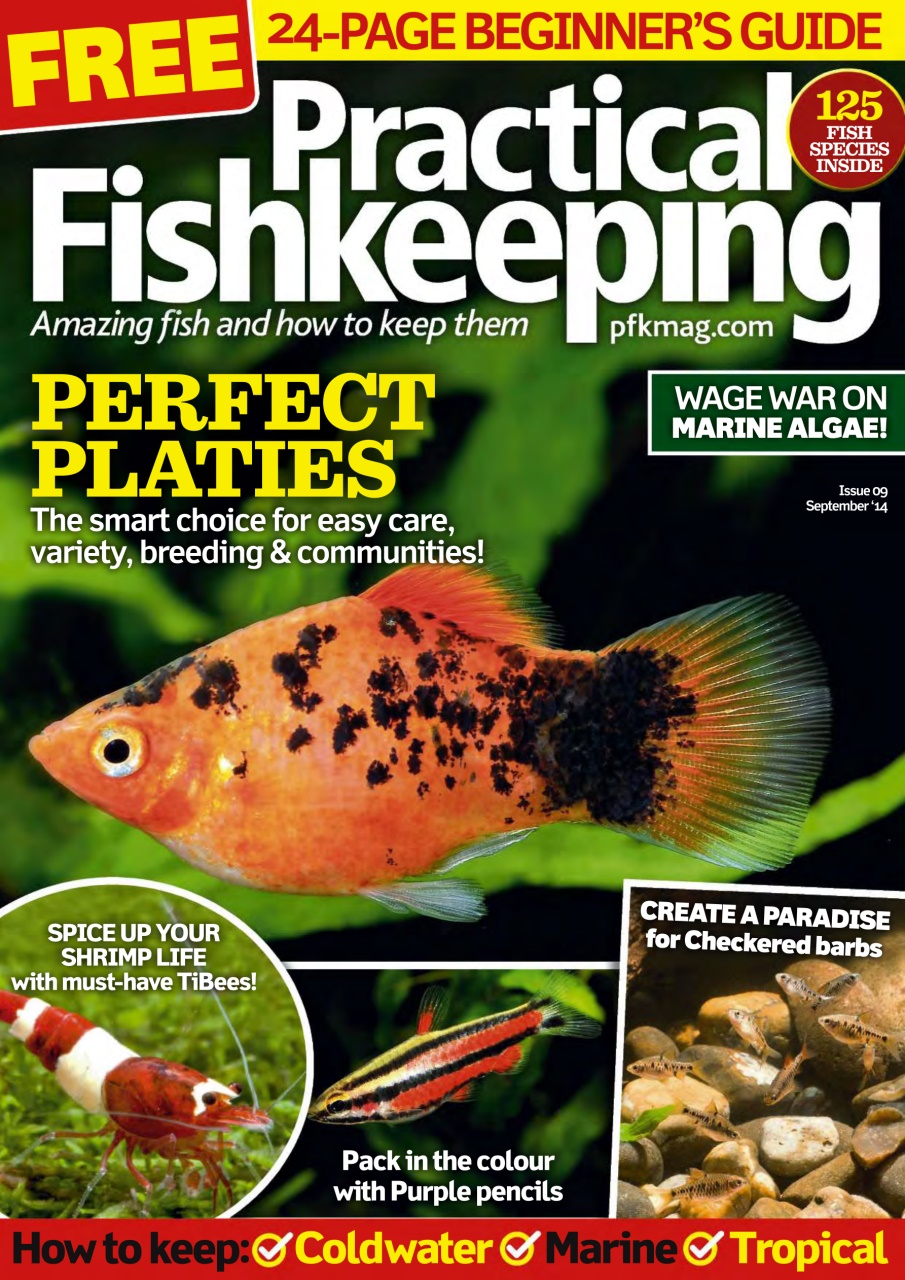Practical Fishkeeping Preview Pages