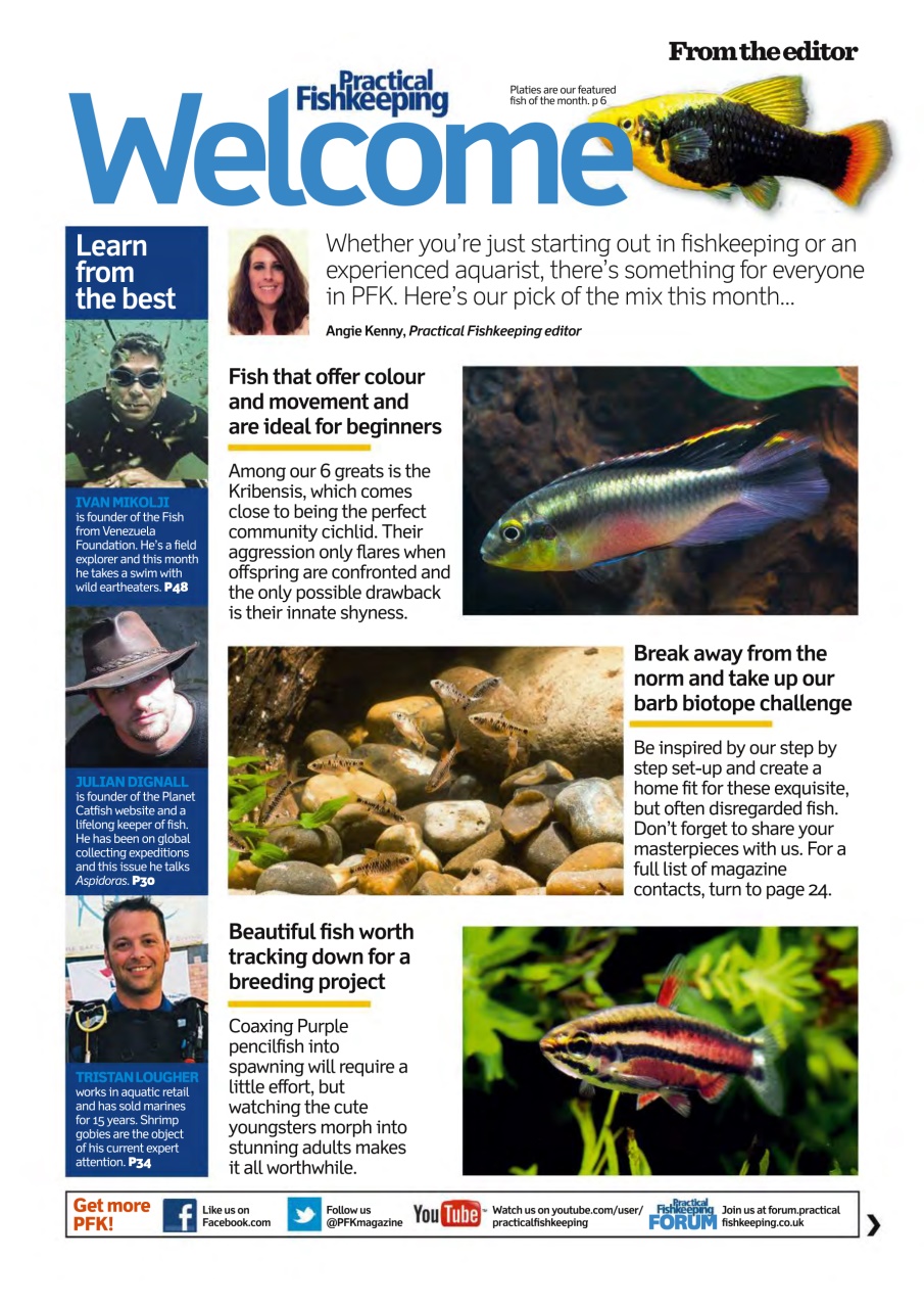 Practical Fishkeeping Preview Pages