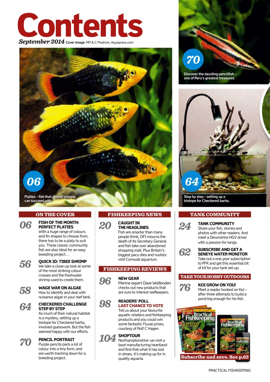 Practical Fishkeeping Preview Pages