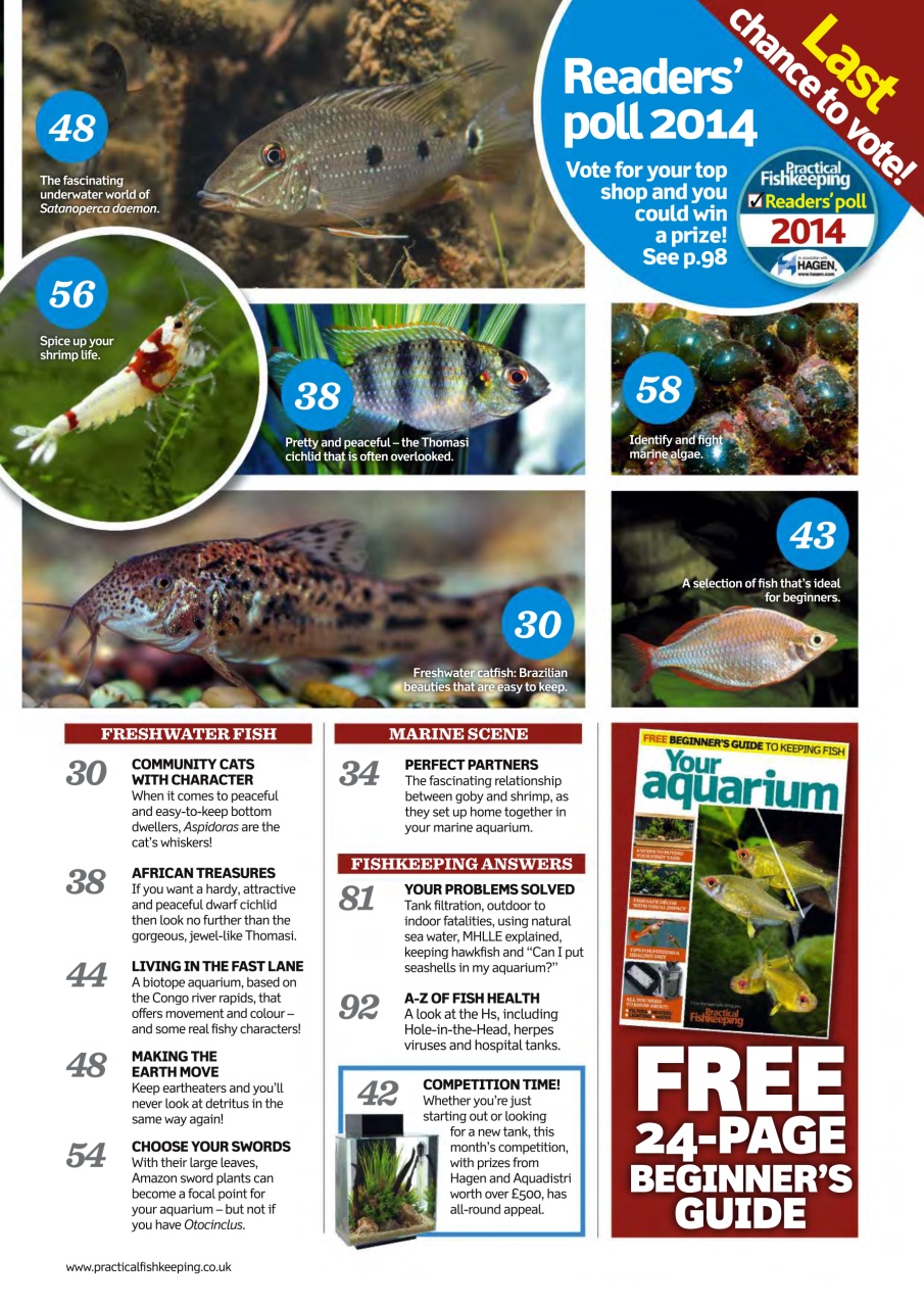 Practical Fishkeeping Preview Pages