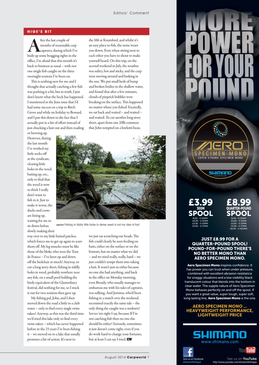 Carpworld Preview Pages