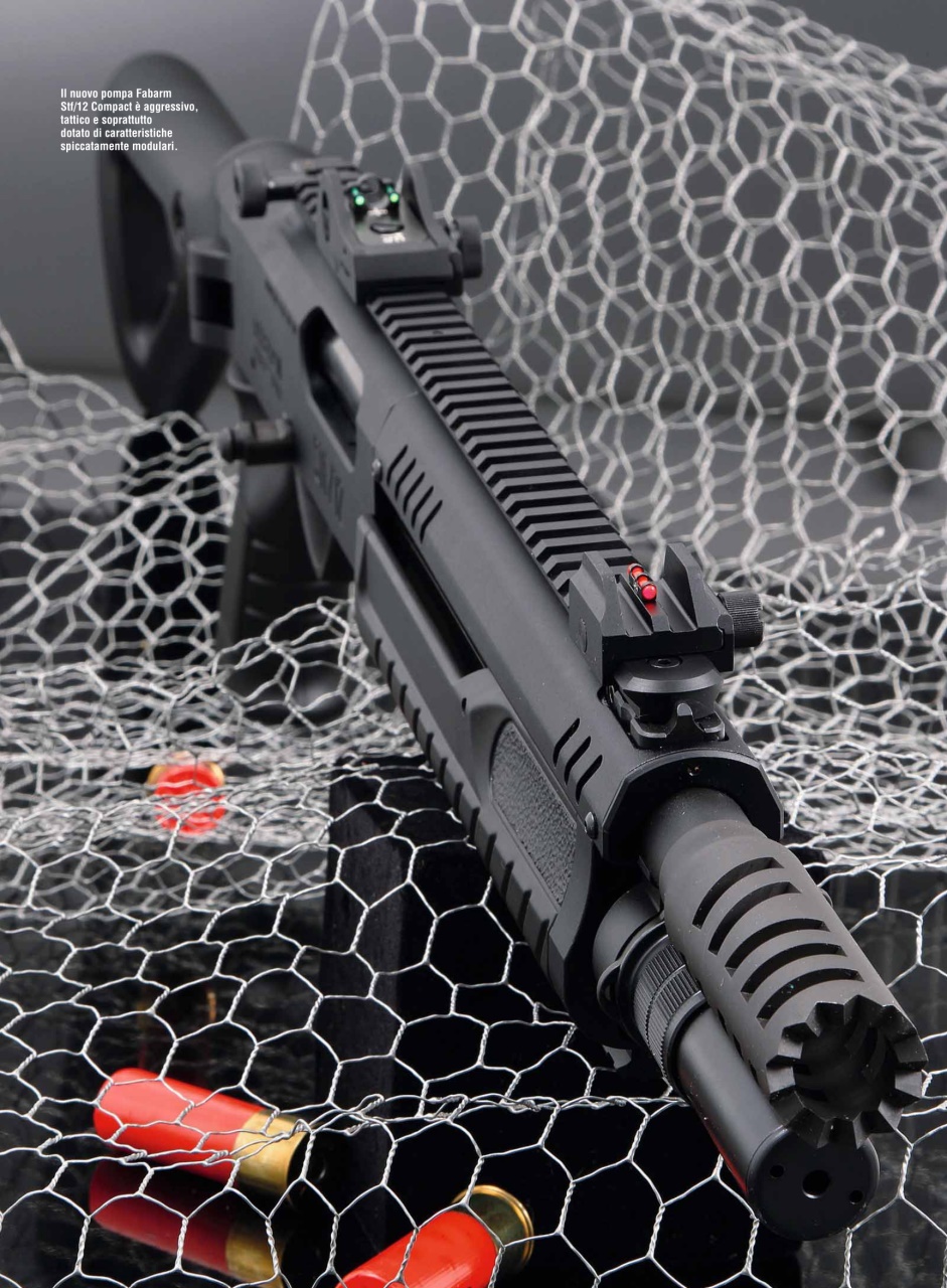 Armi E Tiro Preview Pages