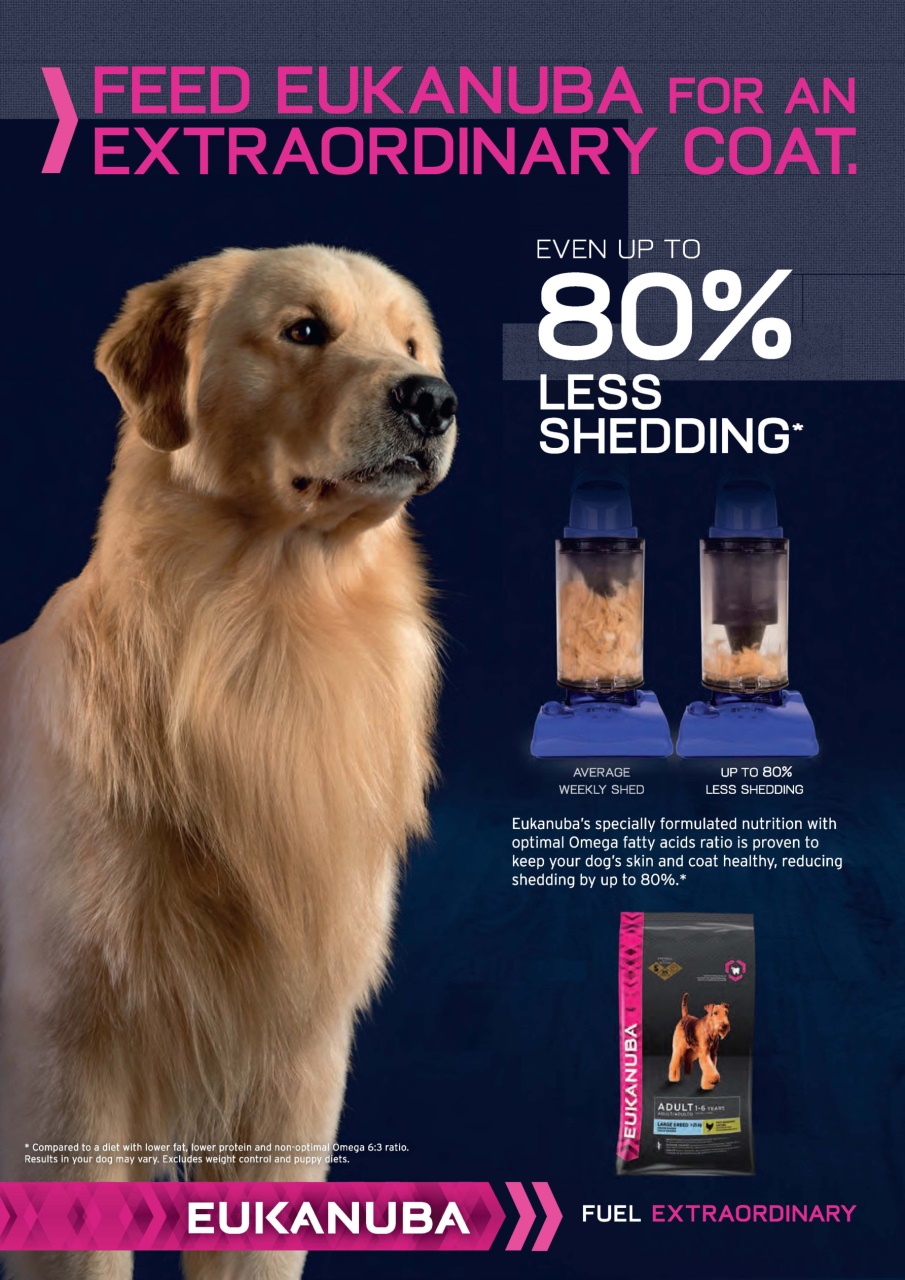 Dogs Today Magazine Preview Pages