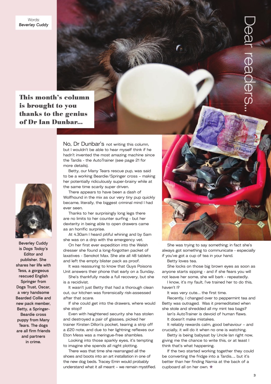 Dogs Today Magazine Preview Pages