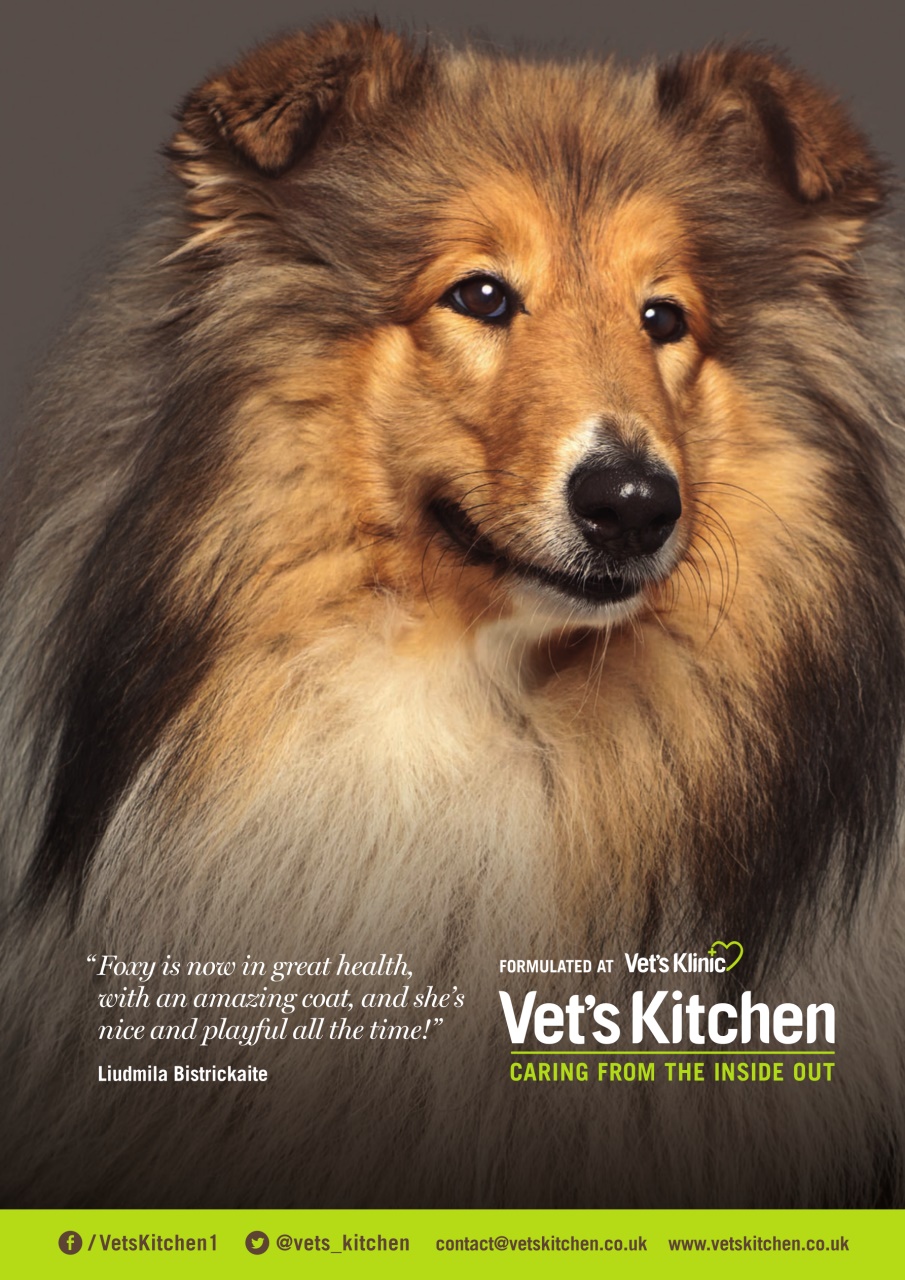 Dogs Today Magazine Preview Pages