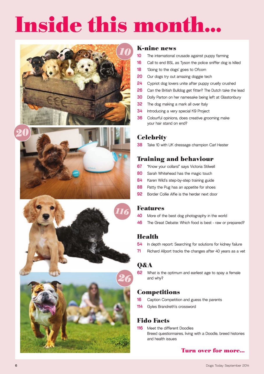 Dogs Today Magazine Preview Pages