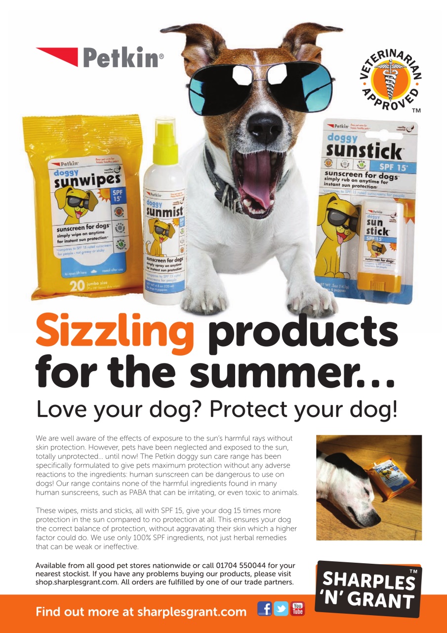 Dogs Today Magazine Preview Pages