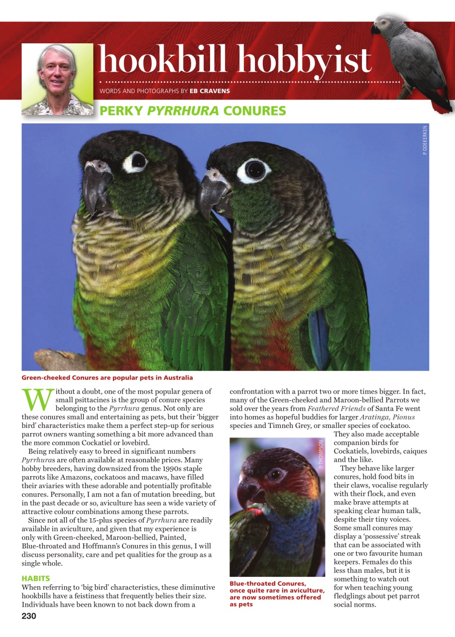 Australian Birdkeeper Magazine Preview Pages