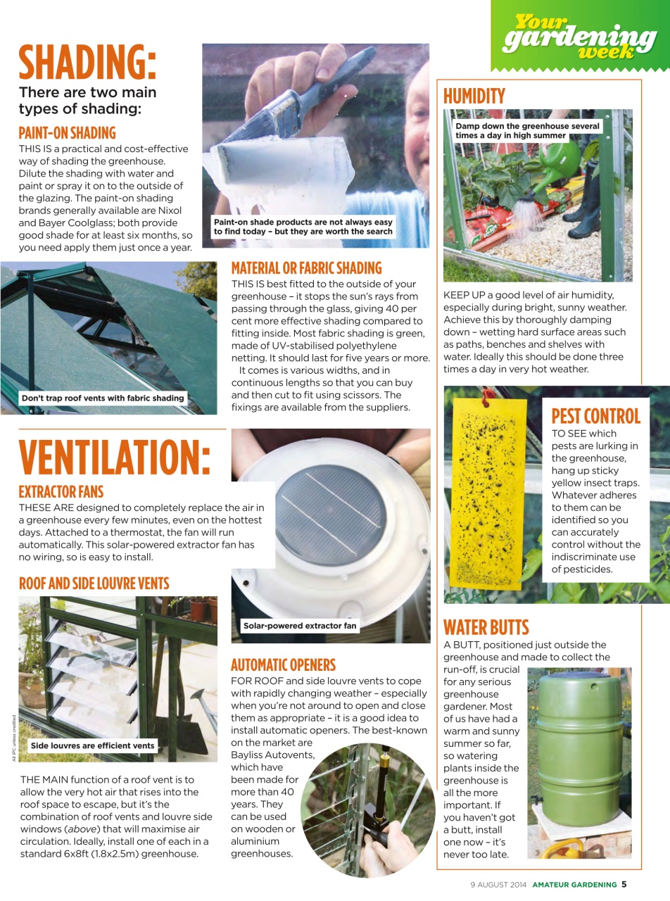 Amateur Gardening Preview Pages