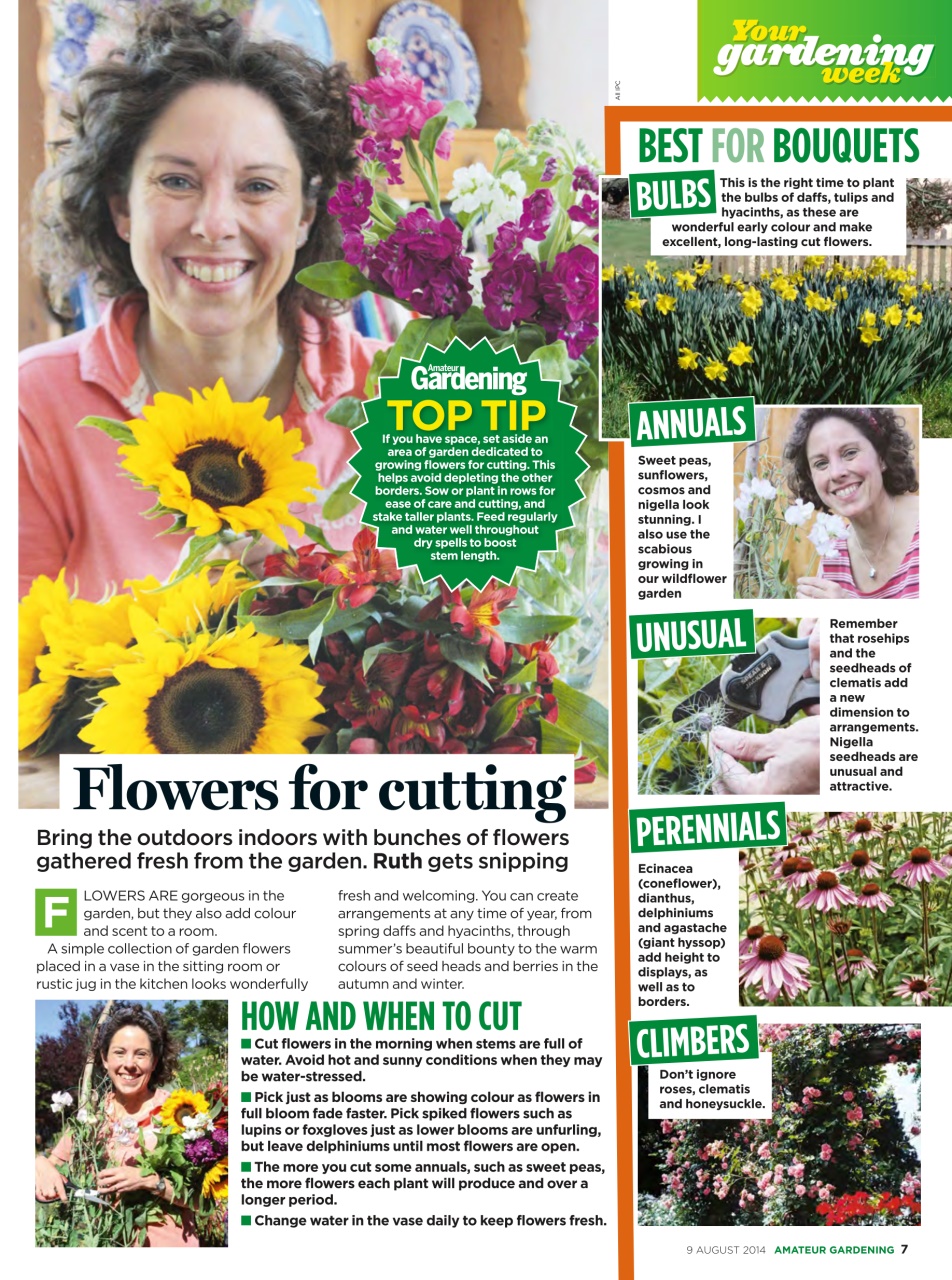 Amateur Gardening Preview Pages