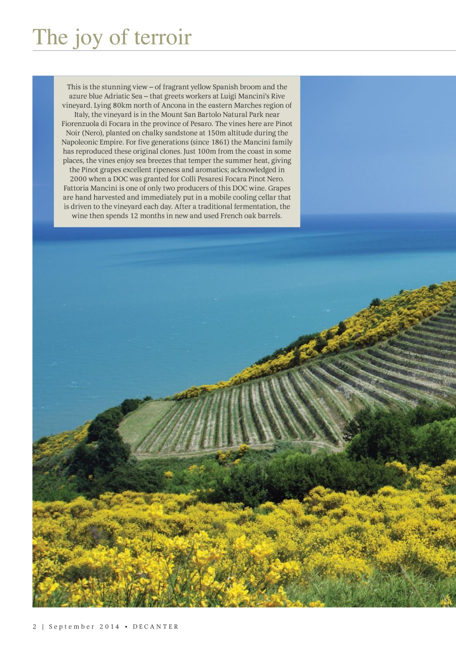 Decanter Preview Pages
