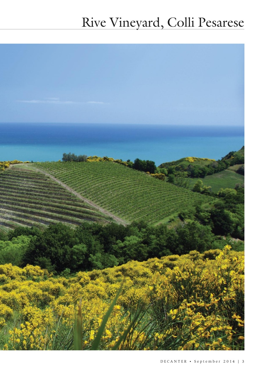 Decanter Preview Pages