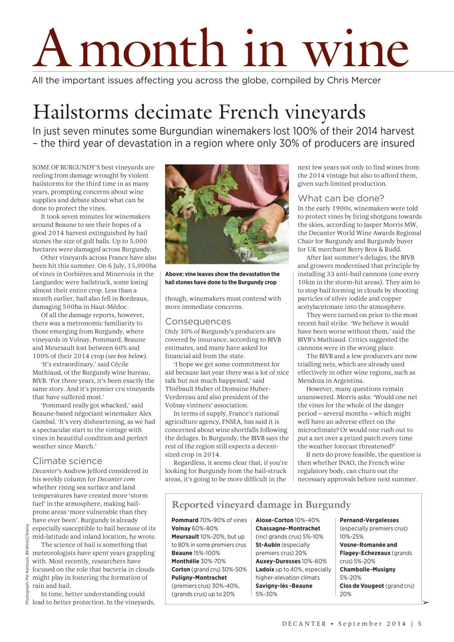 Decanter Preview Pages