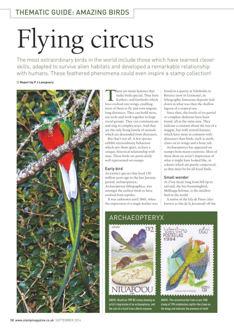 Stamp Magazine Preview Pages