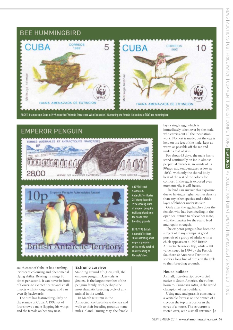 Stamp Magazine Preview Pages